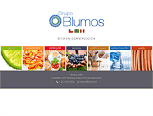 Tablet Screenshot of blumos.cl